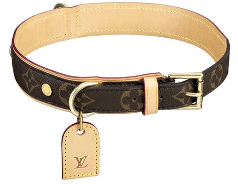 louis vuitton dog collar small replica|Louis Vuitton dog collar large.